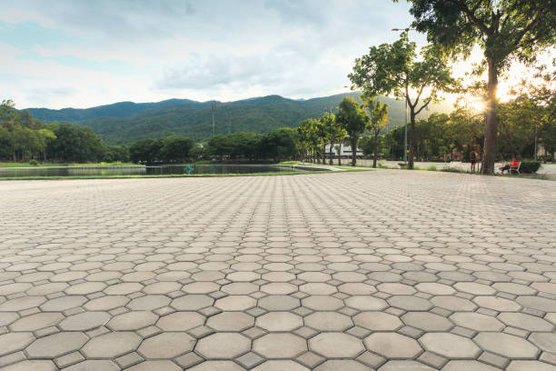 Best Professional Driveway Pavers  in Wyoming, IL